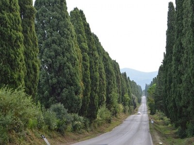 Agriturismo Pane e Vino Toscana