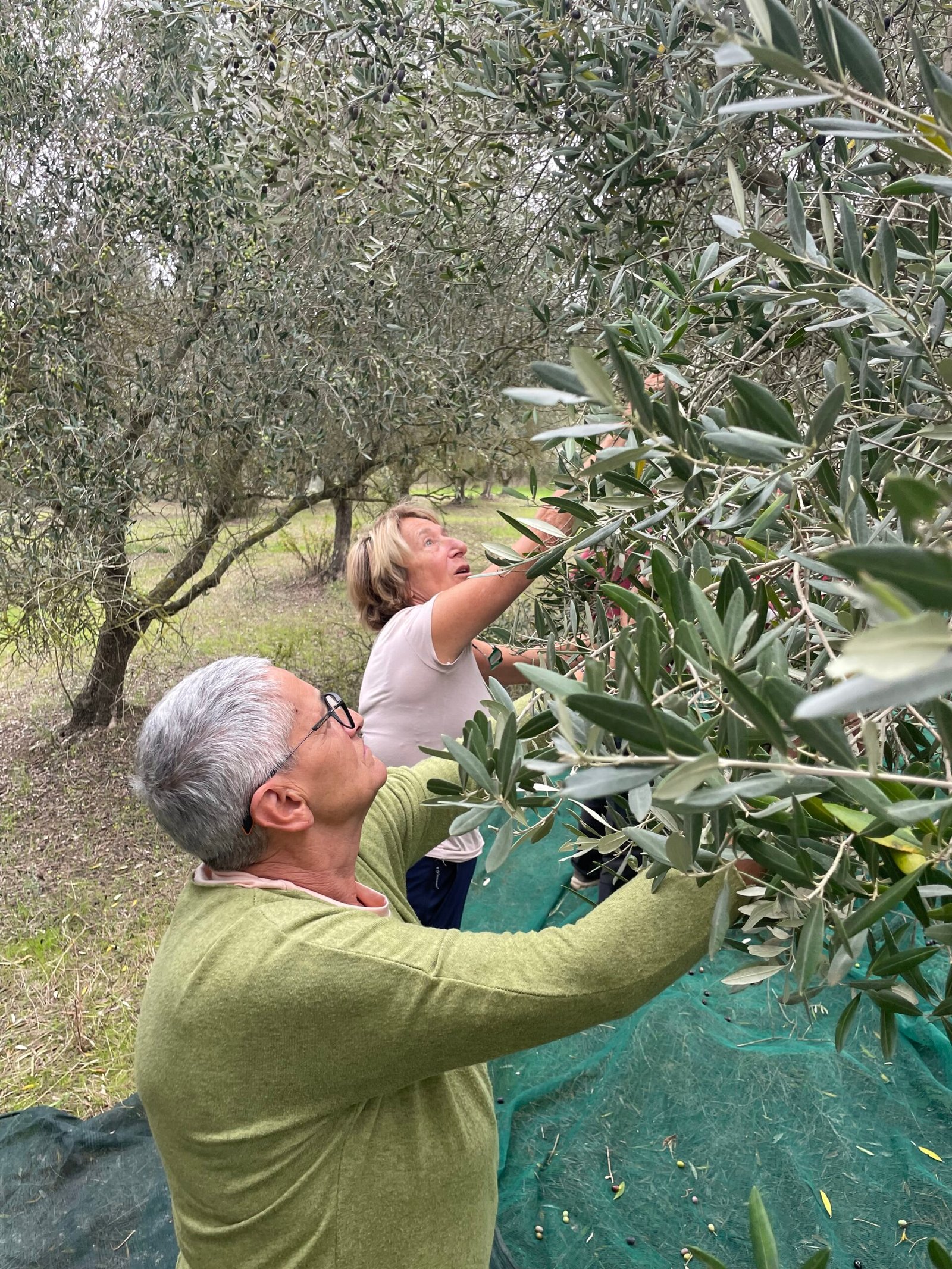 VITALI MARCO — foto 4